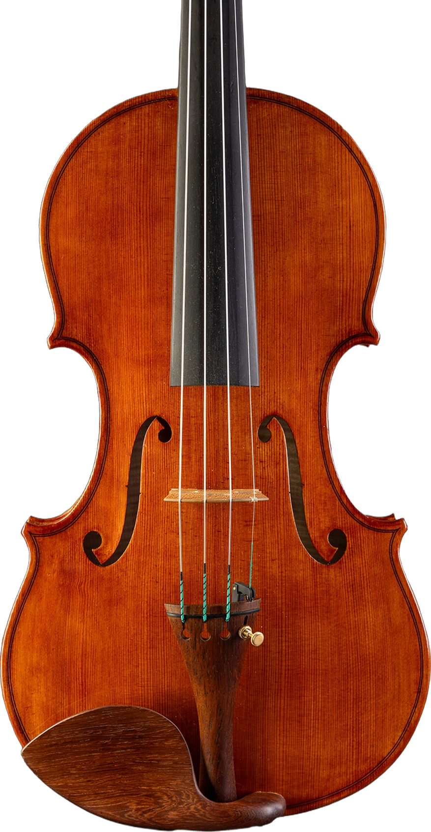 Violin, front view, isolated