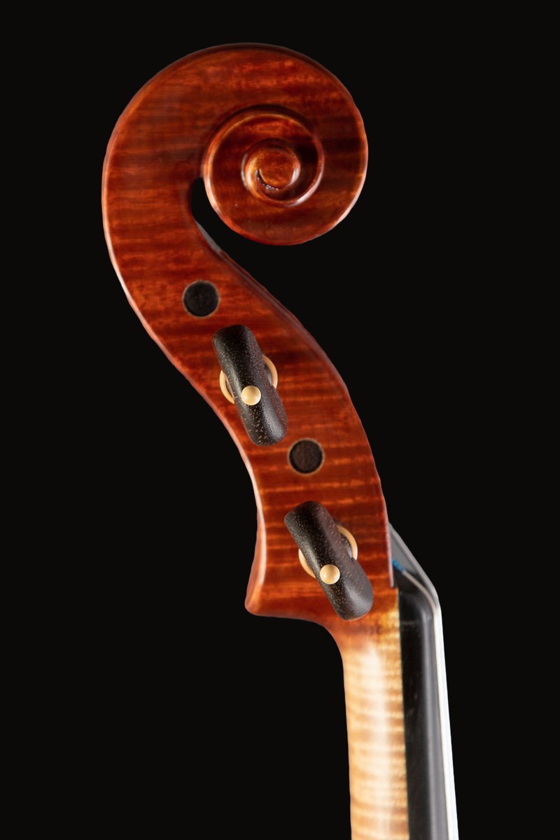 Inspired by Stradivari, scroll