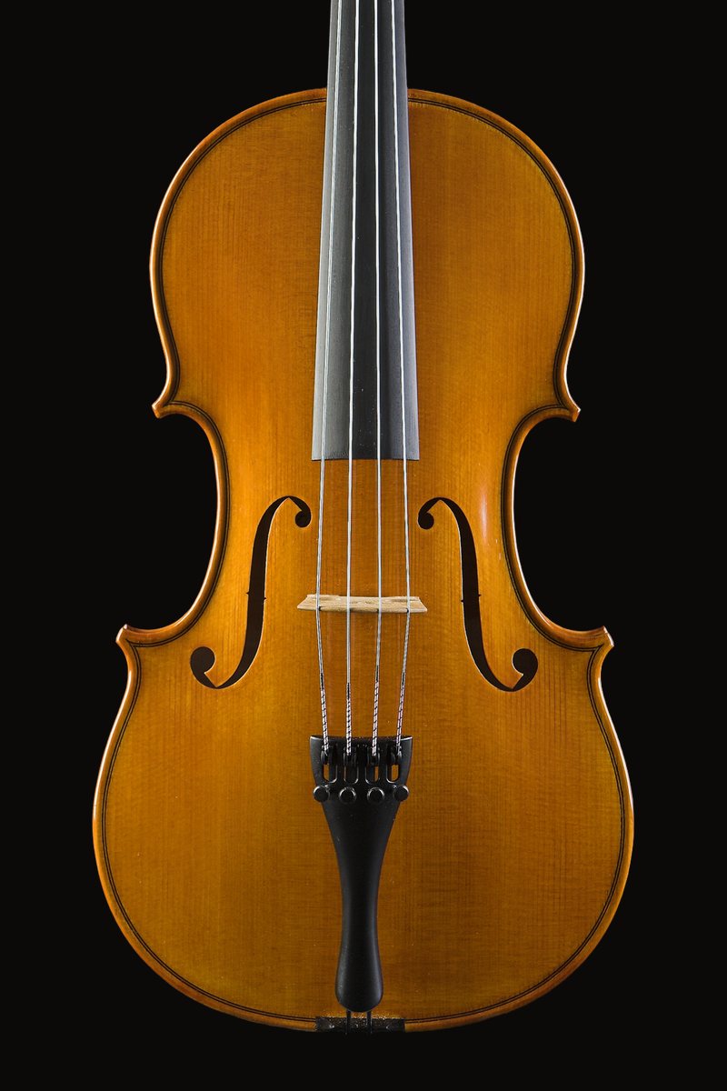 Viola 15.5 inch, front